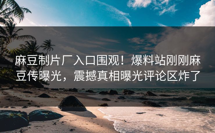 麻豆制片厂入口围观！爆料站刚刚麻豆传曝光，震撼真相曝光评论区炸了